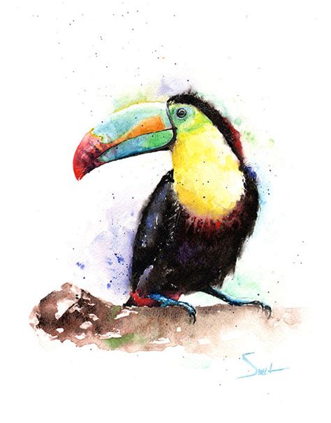 WATERCOLOR TOUCAN PAINTING - original bird art, toucan decor, toucan wall art, toucan artwork ...