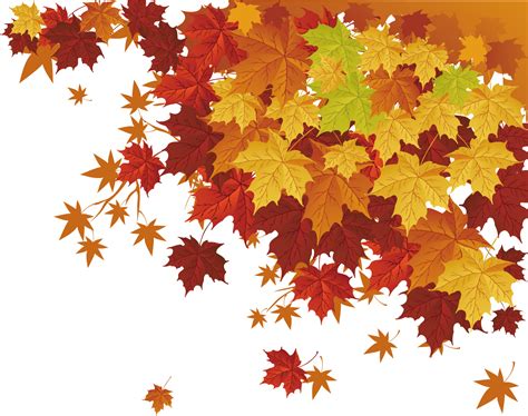 Download Transparent Deciduous Trees Png - Transparent Vector Fall Leaves, Png Download - vhv