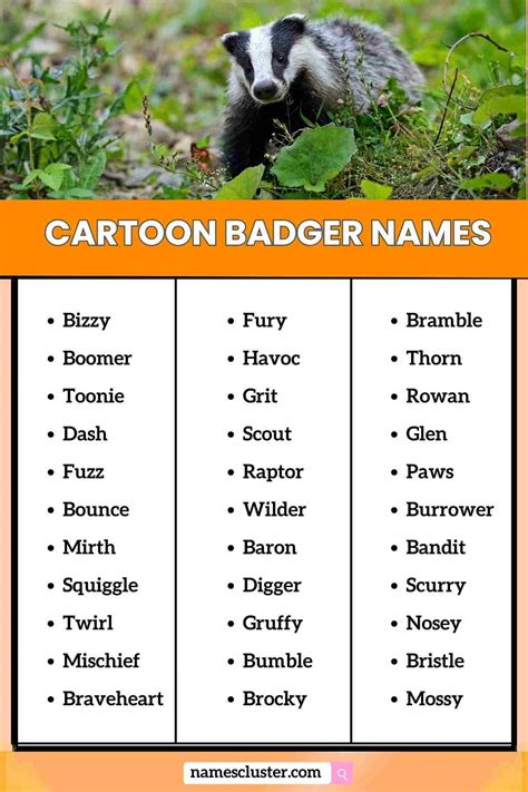 99+ Famous Funny & Creative Badger Names | Names Cluster