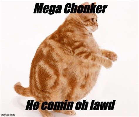 Image tagged in chonk cat dance - Imgflip