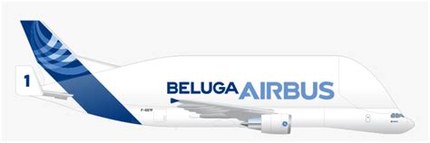 Enter Image Description Here - Airbus Beluga Side View, HD Png Download , Transparent Png Image ...