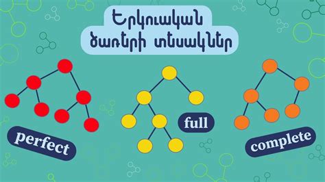 Binary tree types / Երկուական ծառի տեսակներ - YouTube