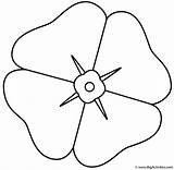 Poppy  Coloring Page Remembrance Day poppy sketch template