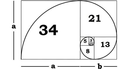 The Golden Ratio – Full Potential Learning Academy