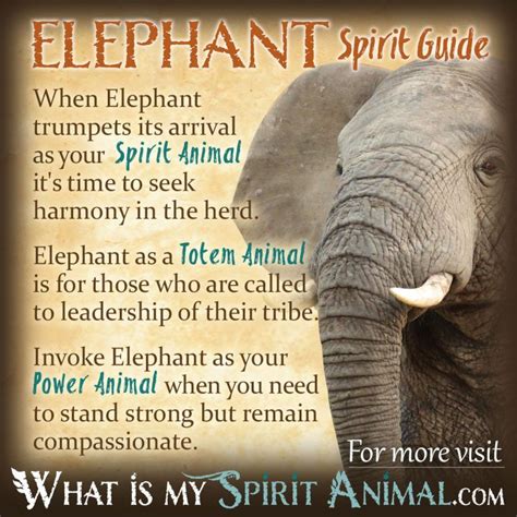 Elephant Symbolism & Meaning | Spirit, Totem, & Power Animal