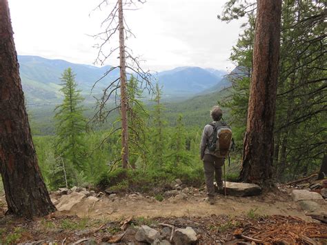 Kimberley Nature Park | Welcome To The Largest Municipal Park In BC