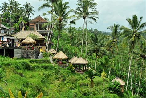 Unveiling gem in northern Bali: Mayong village - Destinations - The Jakarta Post