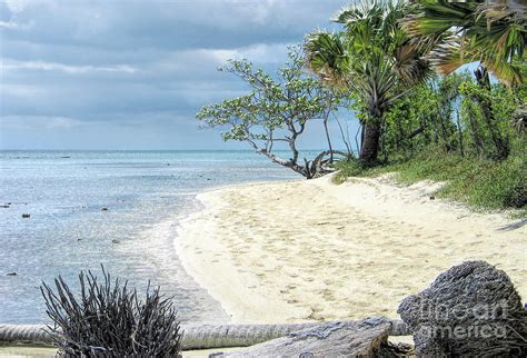 Buye Beach Photograph by Elisabeth Lucas - Fine Art America