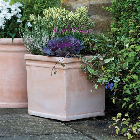 Clayton Square Terracotta Plant Pot | 4 Sizes Multipacks | Gardenesque