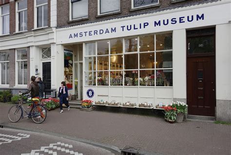 Amsterdam Tulip Museum : Alexander Isley Inc. Designers