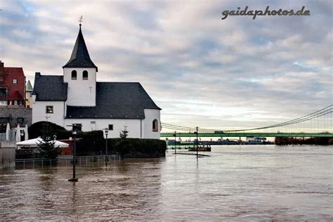 Hochwasser am Rhein Gaidaphotos Gallerie