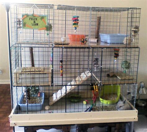 How to Build a Rabbit Cage Using Cubes - Advice for Indoor Rabbits from The Rabbit House