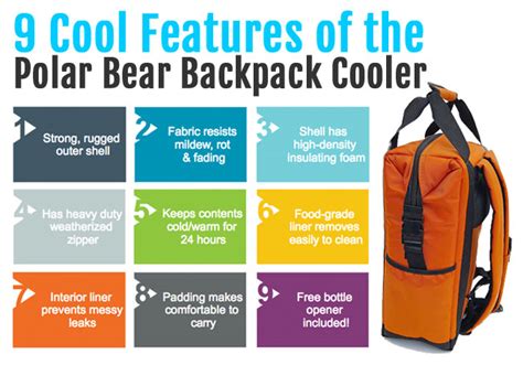 Polar Bear Backpack Cooler - It Cools/Warms for 24 Hours!