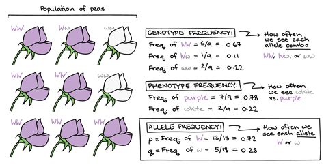 Evolution - Ariel's Biology eProfile