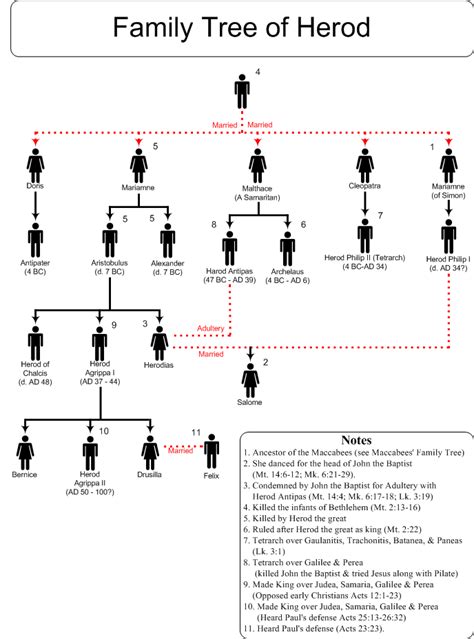 Swartzentrover.com | Herod's Family Tree | Bible Resources | Pinterest ...