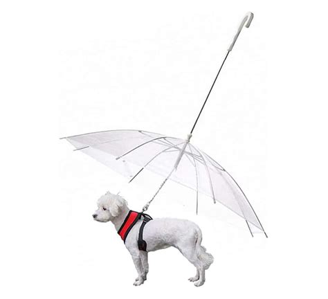 Dogbrella Transparent Dog Umbrella – NoveltyStreet