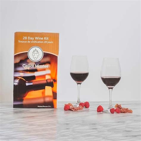 Amazon.ca: wine kit