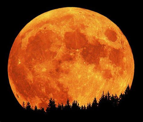 What is a Hunter's Moon? - Universe Today