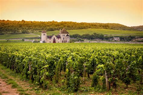 Road Trip Route des Grands Crus, Burgundy Wine Region - France Bucket List