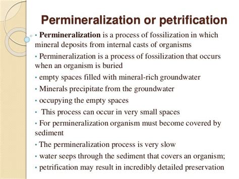 Fossilization ppt