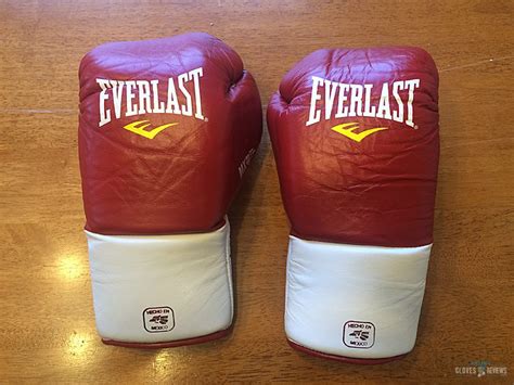 Everlast MX Professional Boxing Gloves Review