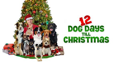 12 Dog Days Till Christmas on Apple TV