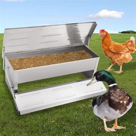 Advantages and Disadvantages of an Automatic Duck Feeder - Pet Food Guide