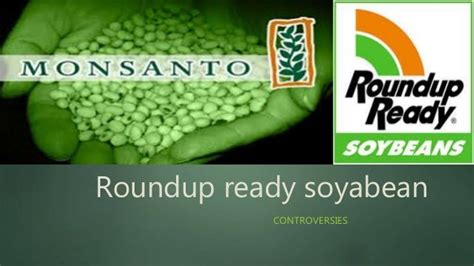 Roundup Ready Soybean Controversies