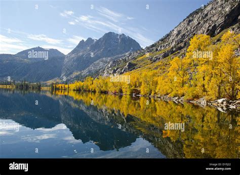 Fall colors Eastern Sierra mountains June Lake loop near Mammoth California Stock Photo - Alamy