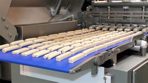 The Complete Guide to Food Conveyor System & Services in NC