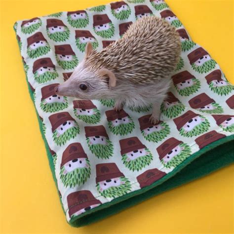 Cactus hedgehog snuggle sack. Small animal sleeping bag. Fleece lined ...