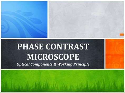 Phase-Contrast-Microscopy.pptx | Free Download