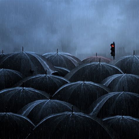 Scenes with Umbrellas in Photography - Stockvault.net Blog