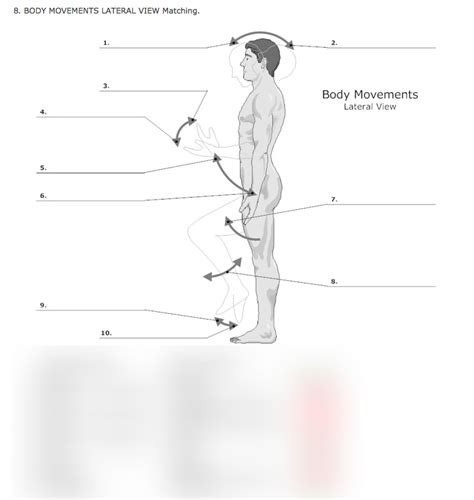 Anatomy & Physiology Chapter 6A Diagram 4 (Body Movements Lateral View) Diagram | Quizlet