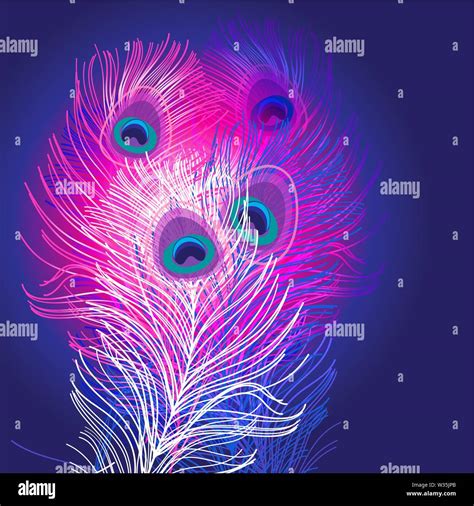 Handsome peacock Stock Vector Images - Alamy