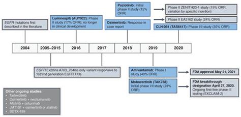 Targeting EGFR Exon 20 Insertions in Non–Small Cell Lung Cancer: Recent ...