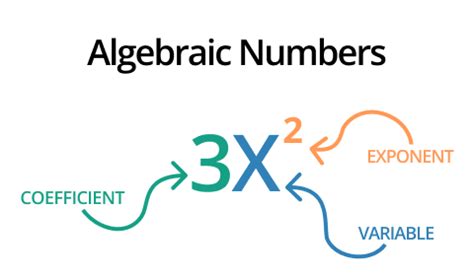 Algebraic Numbers - Algebra