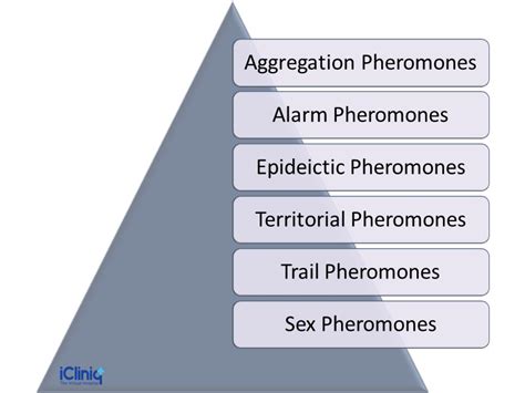 What Are Pheromones?