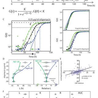 Gene-gene interaction with Yor1 and Yor1-ΔF serves as a resource for... | Download Scientific ...