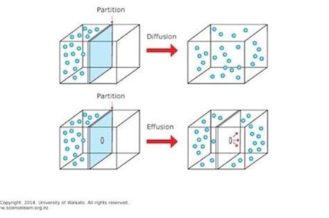 What is the difference between diffusion and effusion? | Socratic