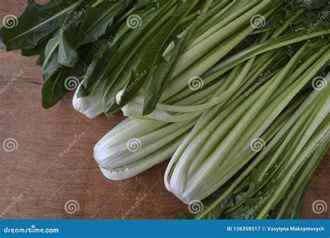 Chicory Cicoria Catalogna Salad On Wooden Background. Stock Image ...