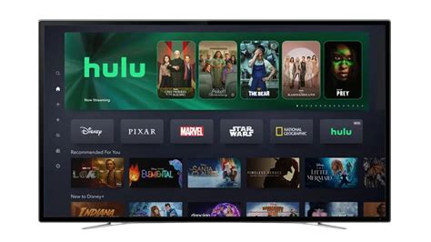 Combined Disney Plus and Hulu App Has Streaming's Most Popular Catalog, Study Finds | Next TV