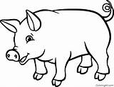 Pig coloring pages – Artofit sketch template