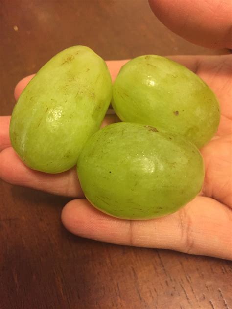 These grapes are huge! : r/mildlyinteresting