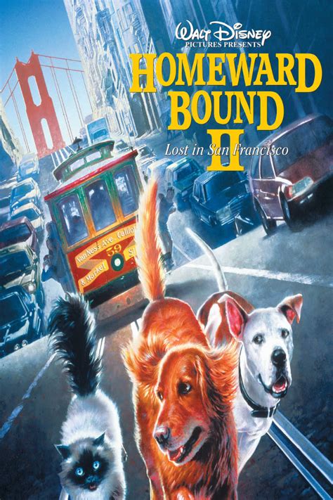 Homeward Bound 2 now available On Demand!