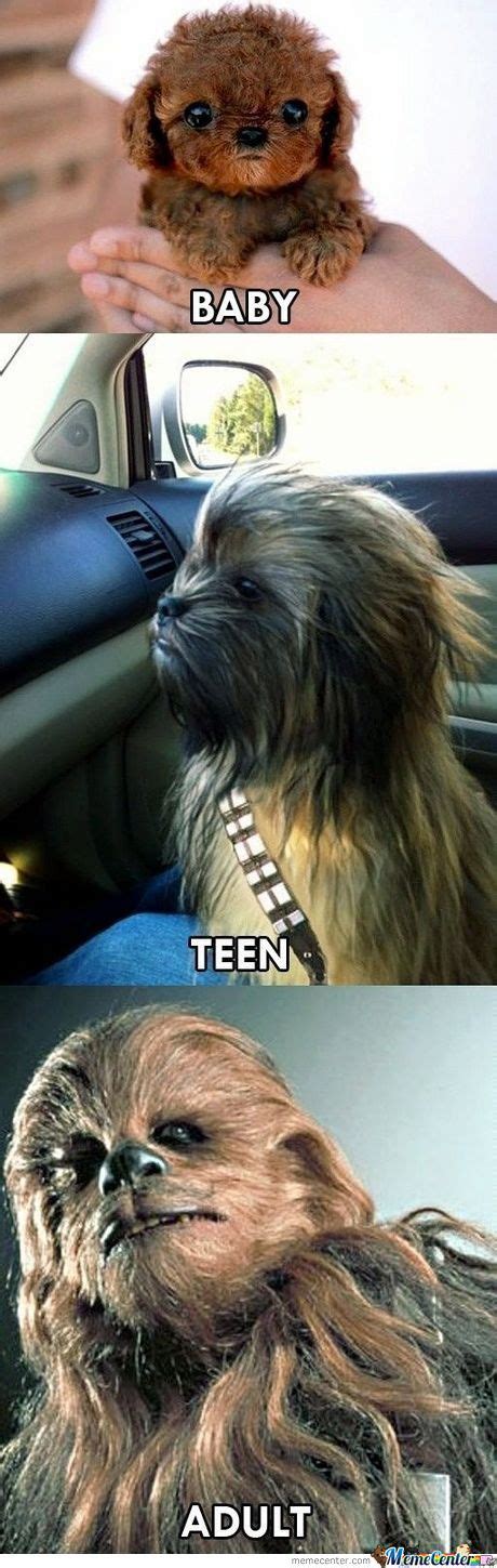 Funny Chewbacca Quotes. QuotesGram