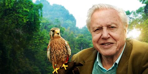 The BBC Has Commissioned Three New David Attenborough Documentary Series