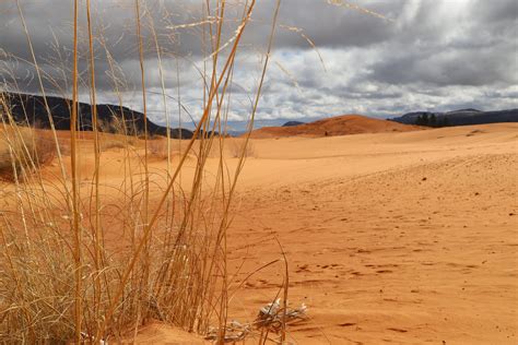 Understanding Climate Change and Real Solutions Without Needing a Science Degree — Nature Impacts Us