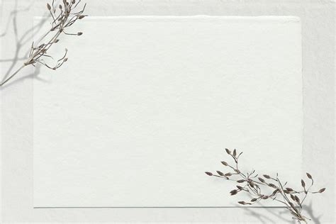 Psd dry flower off white background design space | free image by ...