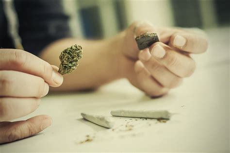 The different effects of weed and hash - RQS Blog